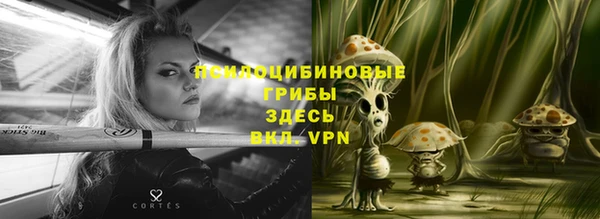 дурь Абинск