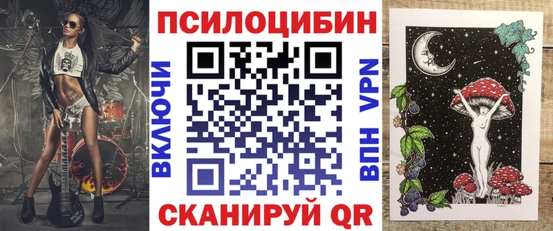 Галлюциногенные грибы Psilocybe Ермолино